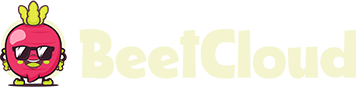 EcleTech Sh.p.k.